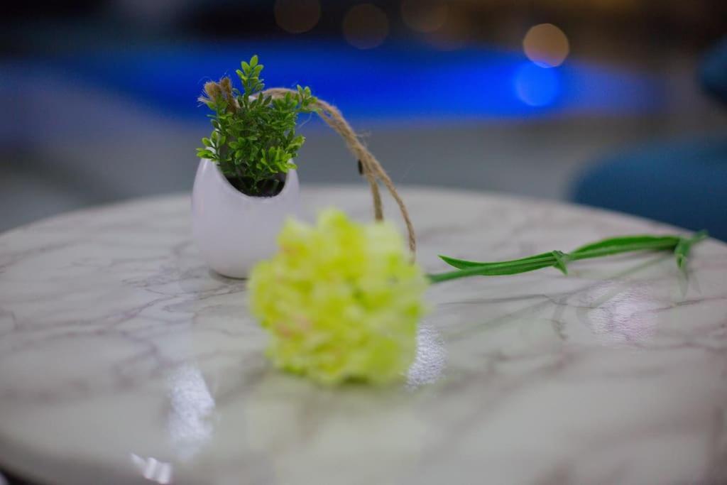 Villa Enjoy Lux In Split Buitenkant foto